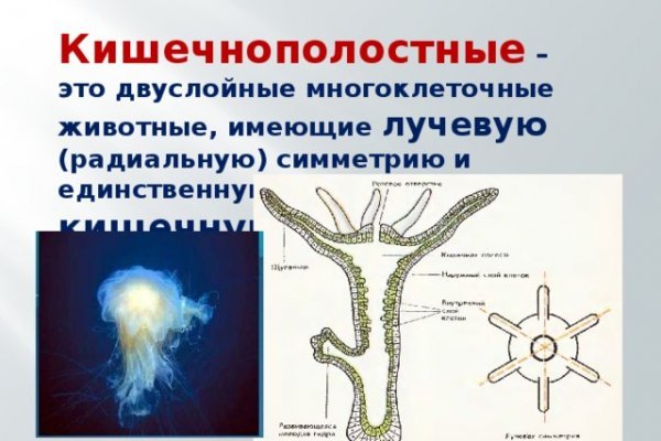 Рабочая ссылка кракен маркетплейс