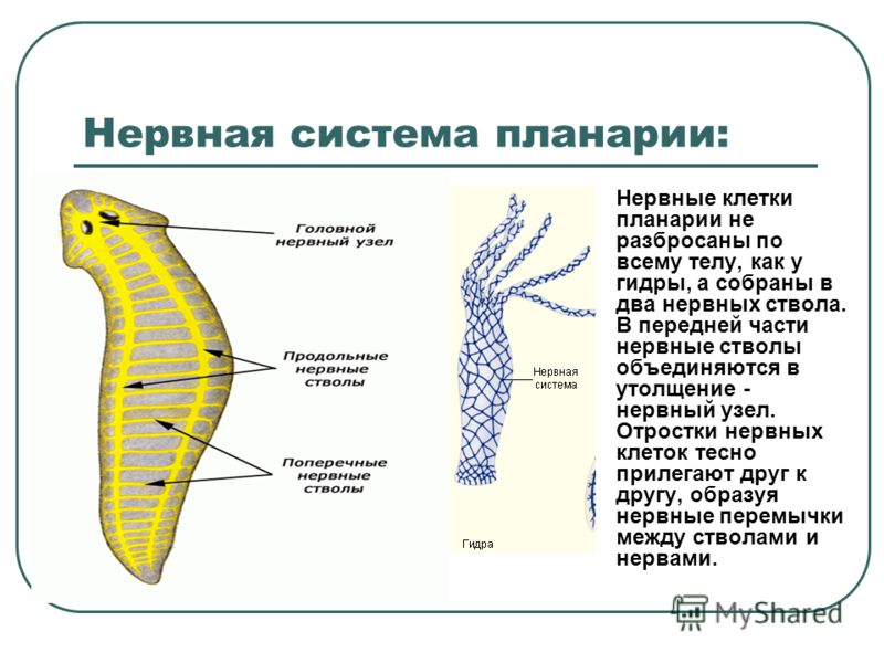 Kra33.cc