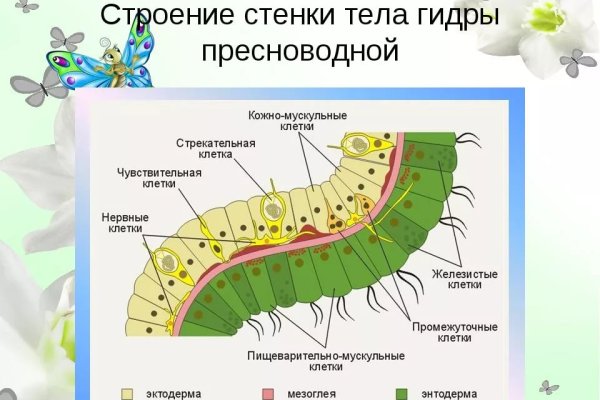 Рабочий сайт kraken