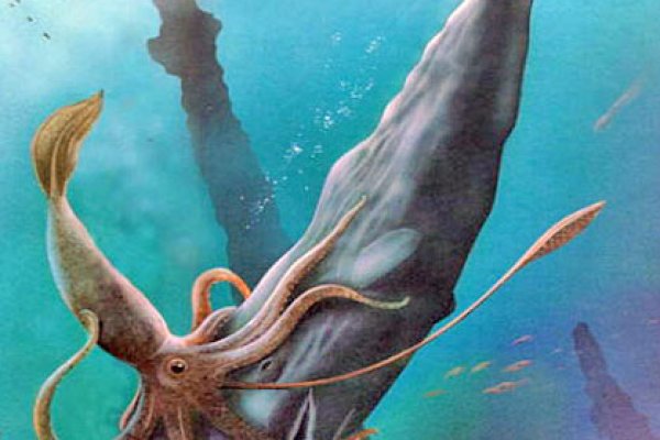 Кракен сайт 1kraken me