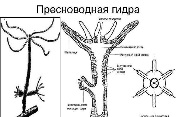 Кракен наркомаркетплейс
