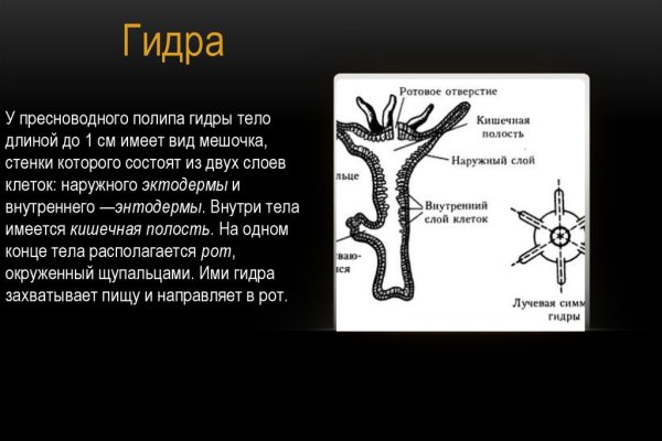 Ссылка на кракен 11