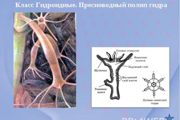 Кракен современный даркнет маркетплейс