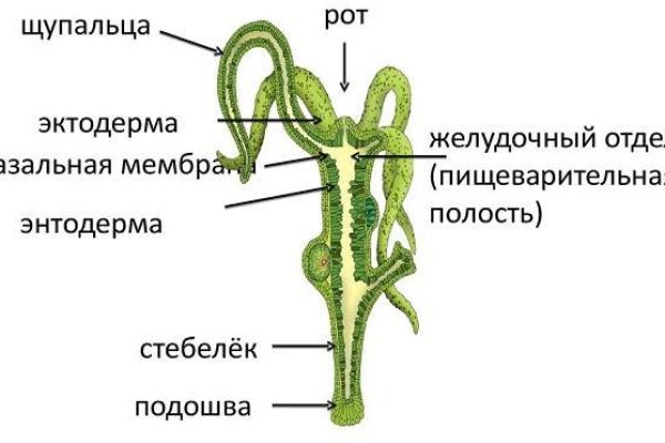 Ссылка на кракен официальный