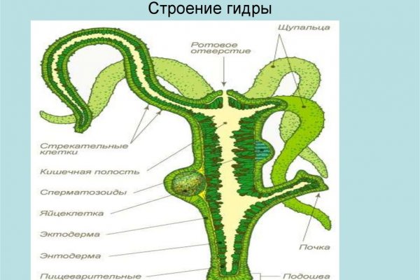 Как попасть на кракен с айфона